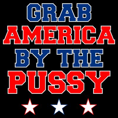Grab America By The Pussy Donald Trump President T-Shirt
