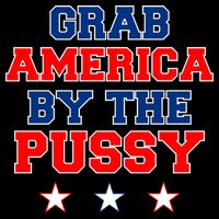Grab America By The Pussy Donald Trump President 16 in Basic Backpack