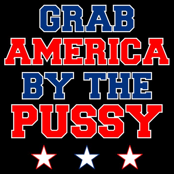 Grab America By The Pussy Donald Trump President 16 in Basic Backpack