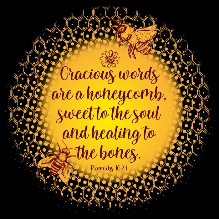 Gracious Words Are A Honeycomb Proverbs 16:24 16 in Basic Backpack