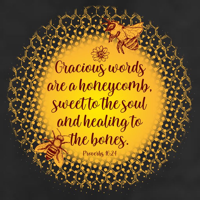 Gracious Words Are A Honeycomb Proverbs 16:24 Hat