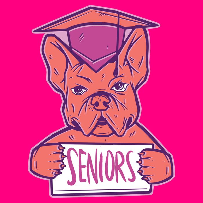 Graduating Bulldog Senior Button
