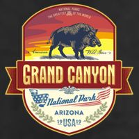Grand Canyon Adult Drive Performance Visor