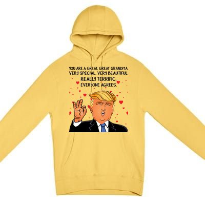 Grandma For Donald Trump Premium Pullover Hoodie