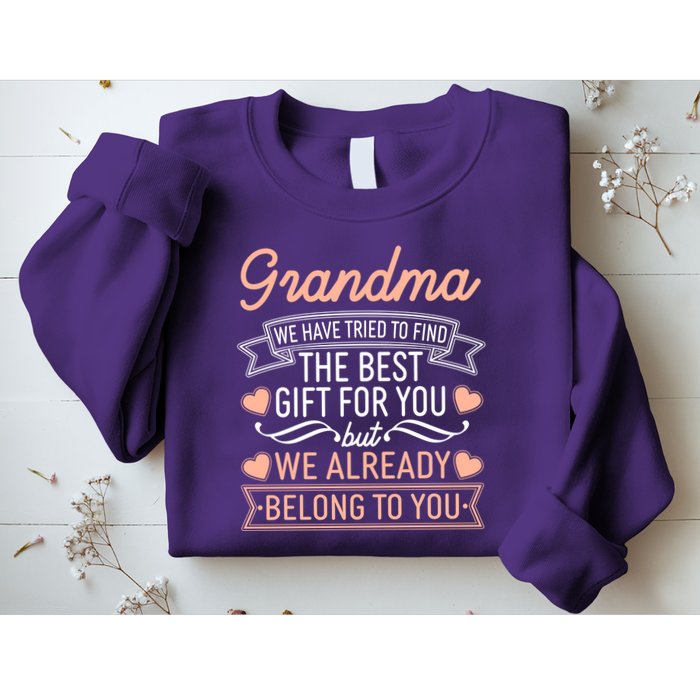 Grandma We Have Tried To Find The Best Gift For You Sweatshirt
