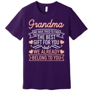 Grandma We Have Tried To Find The Best Gift For You Premium T-Shirt