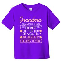 Grandma We Have Tried To Find The Best Gift For You Toddler T-Shirt