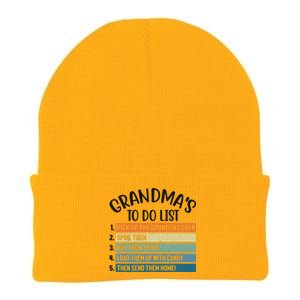 Grandma's To Do List Funny Cute Knit Cap Winter Beanie