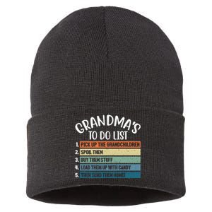 Grandma's To Do List Funny Cute Sustainable Knit Beanie