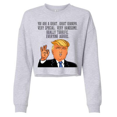 Grandpa Donald Trump Cropped Pullover Crew