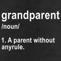 Grandparents A Parent Without Any Rules Beanie