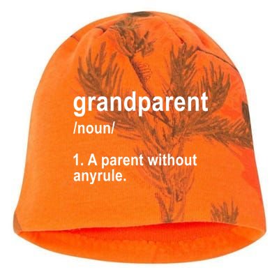 Grandparents A Parent Without Any Rules Kati - Camo Knit Beanie