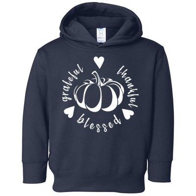 Grateful Faithful Blessed Toddler Hoodie