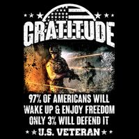 Gratitude United States of America U.S. Veteran Fact T-Shirt