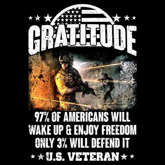 Gratitude United States of America U.S. Veteran Fact T-Shirt