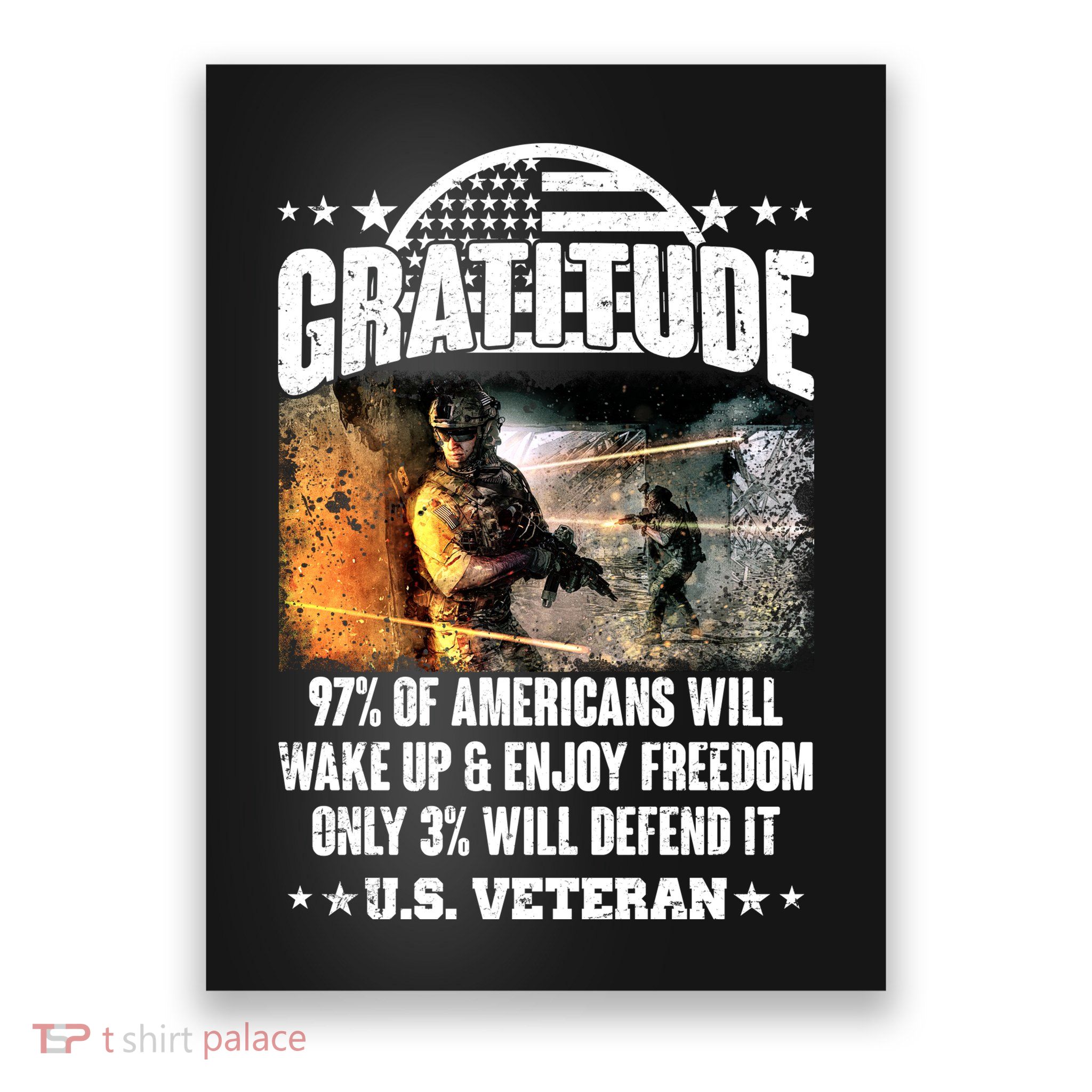 Gratitude United States of America U.S. Veteran Fact Poster