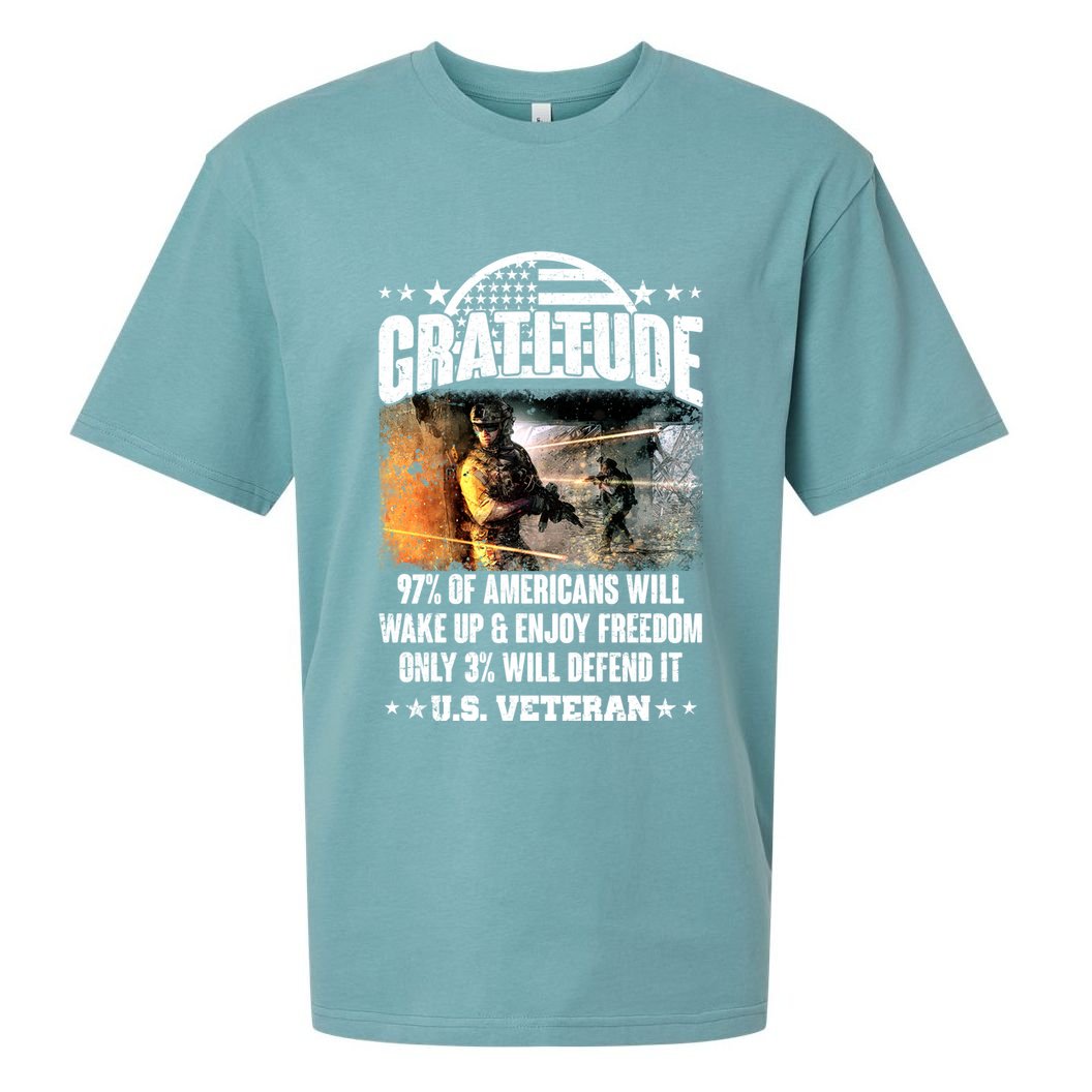 Gratitude United States of America U.S. Veteran Fact Sueded Cloud Jersey T-Shirt