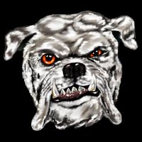 Gray Bulldog Button