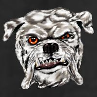 Gray Bulldog Adult Drive Performance Visor