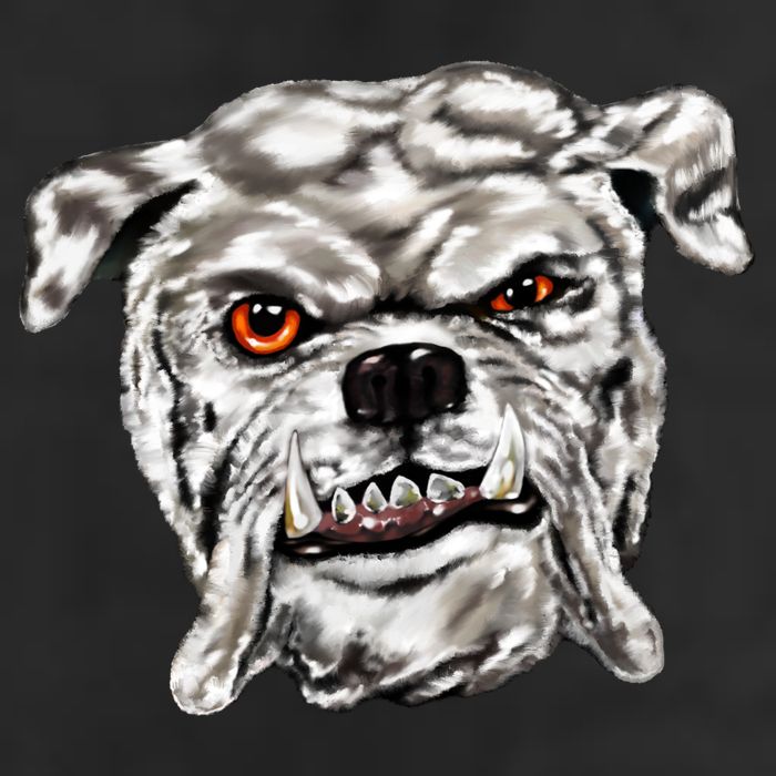 Gray Bulldog Adult Drive Performance Visor
