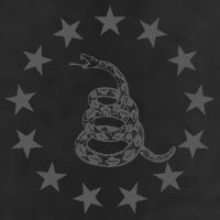 Gadsden Rattlesnake Betsy Ross Flag Ring Of Stars Patriot Cool Comfort Performance Bucket Hat