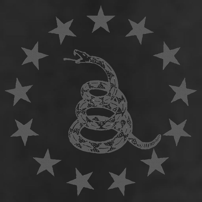 Gadsden Rattlesnake Betsy Ross Flag Ring Of Stars Patriot Cool Comfort Performance Bucket Hat