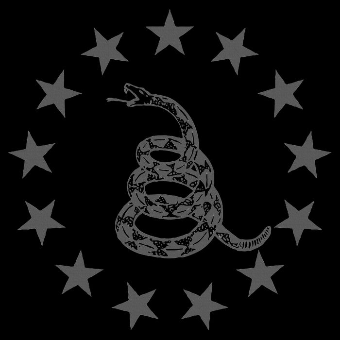 Gadsden Rattlesnake Betsy Ross Flag Ring Of Stars Patriot 7-Panel Snapback Hat