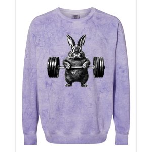 Gym Rabbit Bodybuilder Weight Lifting Rabbit Training Fitness Meaningful Gift Colorblast Crewneck Sweatshirt