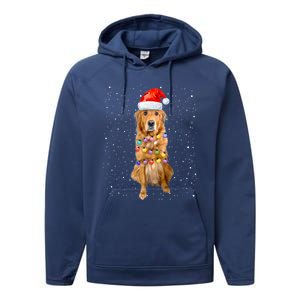 Golden Retriever Christmas Idea And Santa Hat Xmas Gift Performance Fleece Hoodie