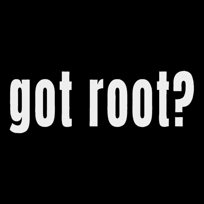 Got Root Computer Hacking Hacker Gift Tall Hoodie
