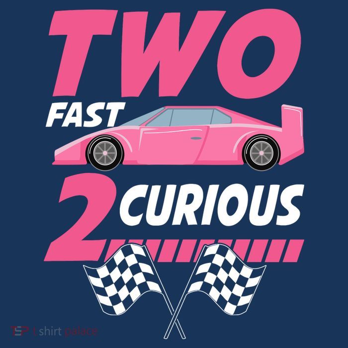 Girl Race Car Birthday Decorations Two Fast 2 Curious 2nd Kids T-Shirt