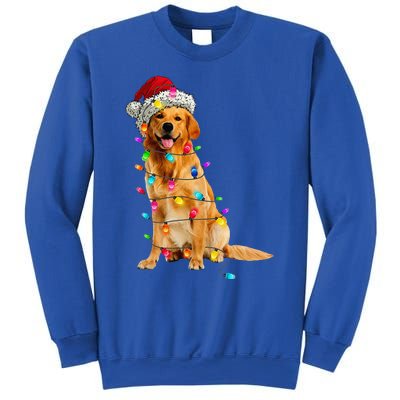 Golden Retrievers Christmas Lights Hat Santa Dog Lover Sweatshirt