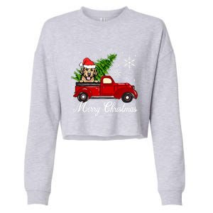 Golden Retriever Dog Riding Red Truck Christmas Decorations Cool Gift Cropped Pullover Crew