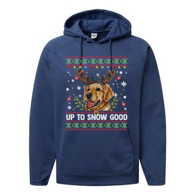 Golden Retriever Dog Reindeer Christmas Gift Ugly Sweater Gift Performance Fleece Hoodie