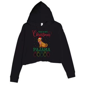 Golden Retriever Dog Xmas Light This Is My Christmas Pajama Gift Crop Fleece Hoodie