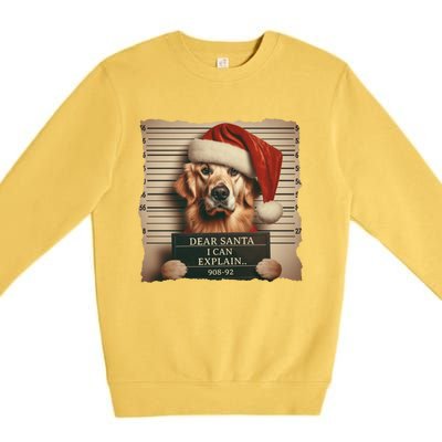 Golden Retriever Dogs Christmas Dear Santa I Can Explain Gift Premium Crewneck Sweatshirt