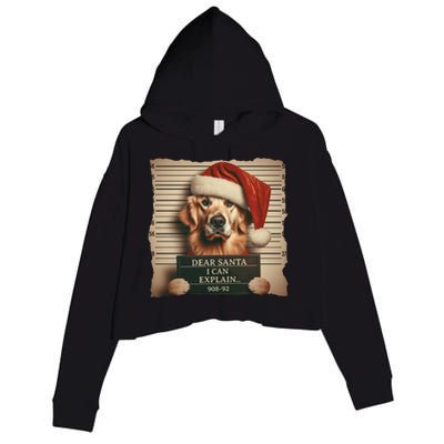 Golden Retriever Dogs Christmas Dear Santa I Can Explain Gift Crop Fleece Hoodie