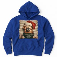 Golden Retriever Dogs Christmas Dear Santa I Can Explain Gift Hoodie