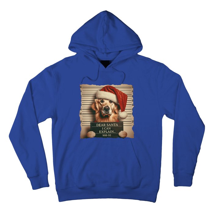 Golden Retriever Dogs Christmas Dear Santa I Can Explain Gift Hoodie