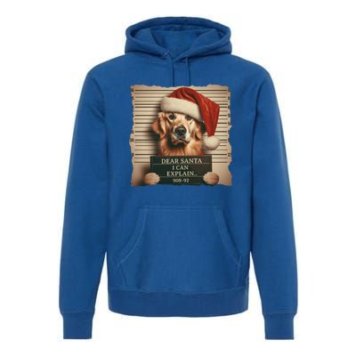 Golden Retriever Dogs Christmas Dear Santa I Can Explain Gift Premium Hoodie