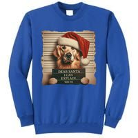 Golden Retriever Dogs Christmas Dear Santa I Can Explain Gift Tall Sweatshirt