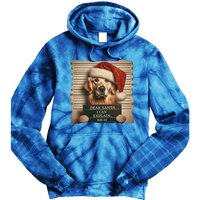 Golden Retriever Dogs Christmas Dear Santa I Can Explain Gift Tie Dye Hoodie