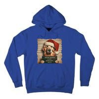 Golden Retriever Dogs Christmas Dear Santa I Can Explain Gift Tall Hoodie