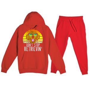 Golden Retriever DonT Stop Retrievin Distressed Premium Hooded Sweatsuit Set