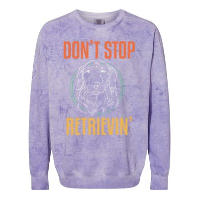 Golden Retriever Dont Stop Retrievin Cool Gift Colorblast Crewneck Sweatshirt