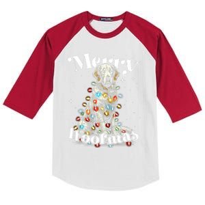 Golden Retriever Dog Merry Woofmas Christmas Lights Sant Hat Tank Top Kids Colorblock Raglan Jersey