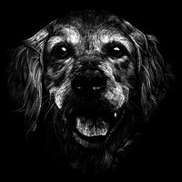 Golden Retriever Dog Cooling Performance Crew T-Shirt