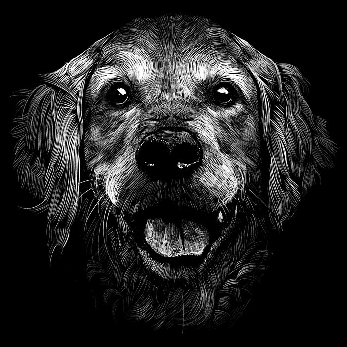 Golden Retriever Dog Cooling Performance Crew T-Shirt