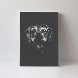 Golden Retriever Dog Canvas