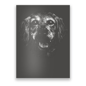 Golden Retriever Dog Poster